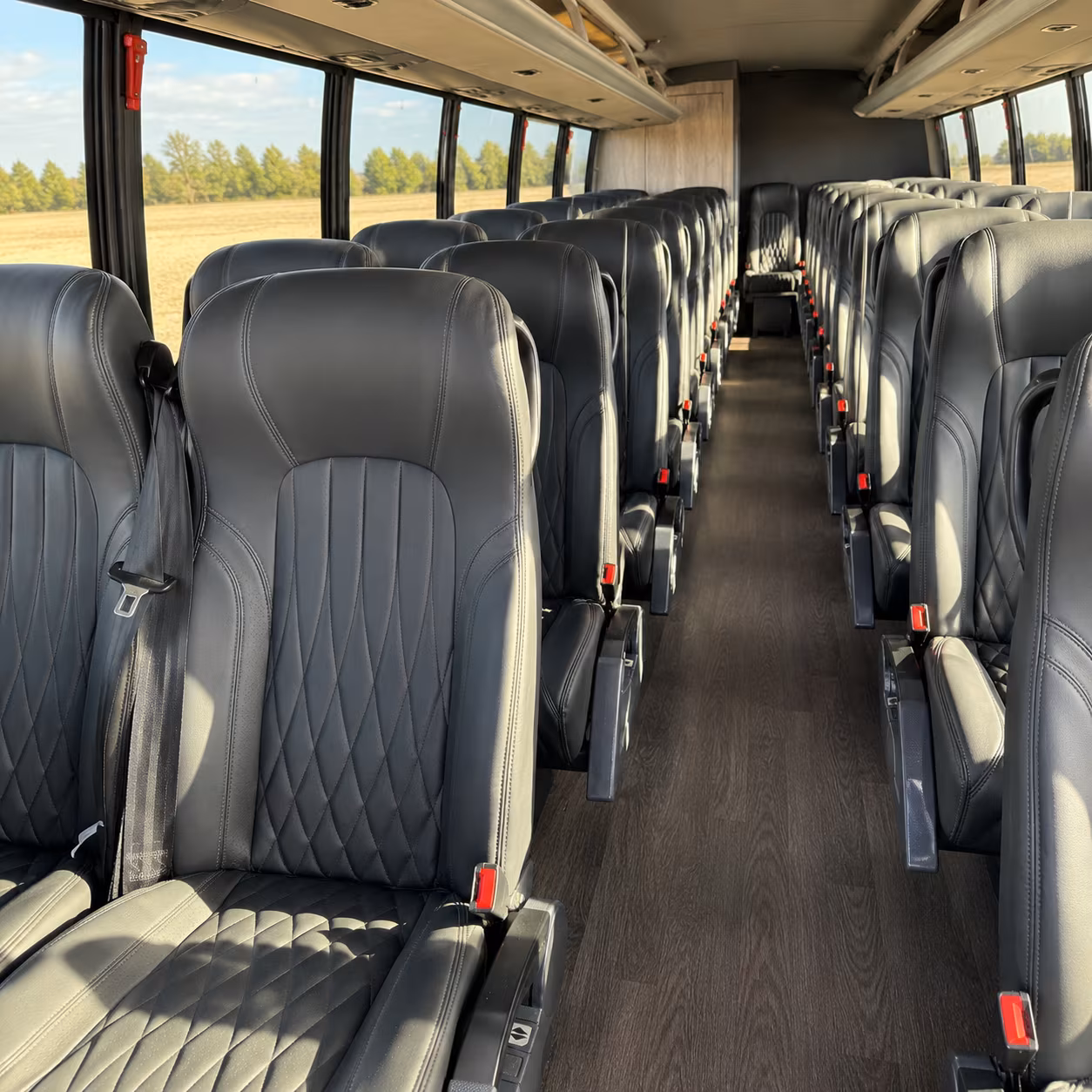 southaven wedding transportation